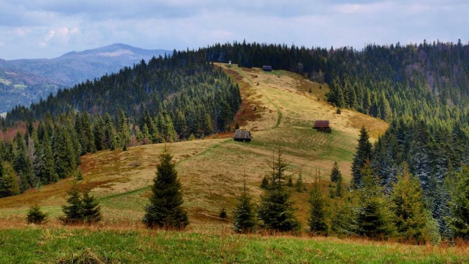 Wasielowka Poręba Wielka Dış mekan fotoğraf