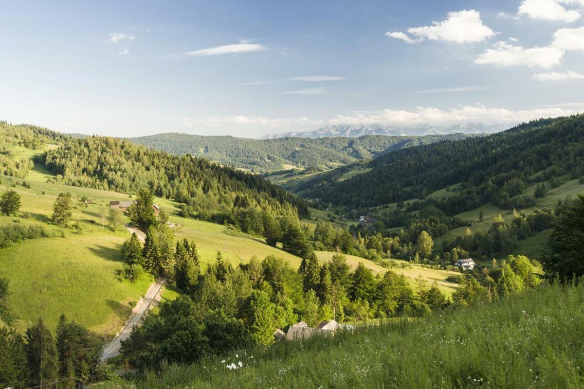 Wasielowka Poręba Wielka Dış mekan fotoğraf